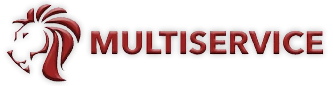 Multiservice logo